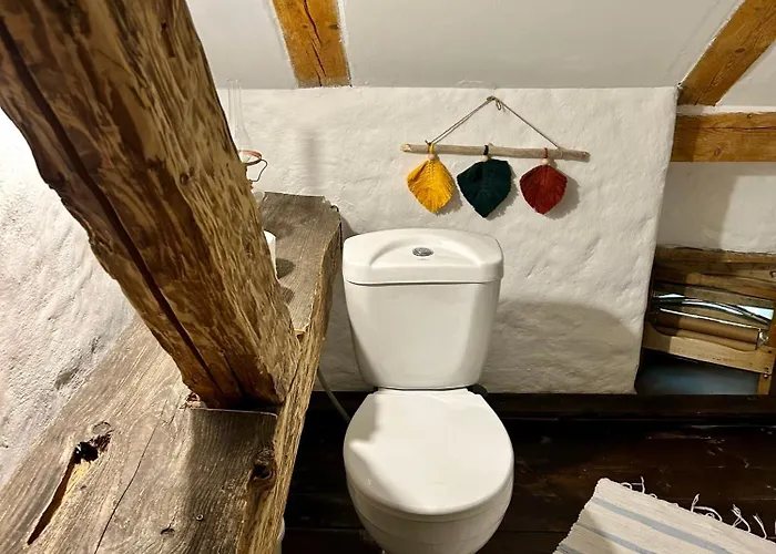 Guest house Placowka - Komfortowe W Oazie Spokoju 3*